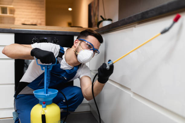 Pest Prevention Services in Abingdon, IL