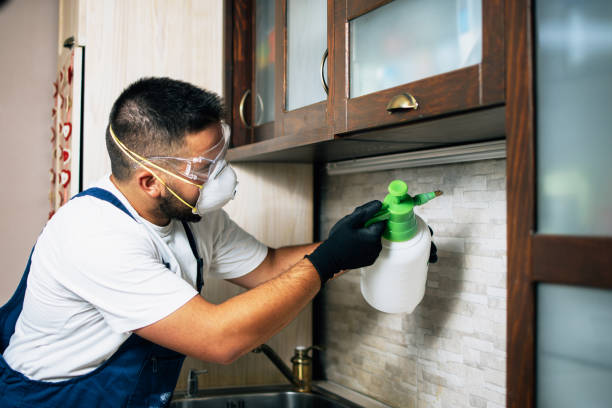 Best Best Pest Control Companies  in Abingdon, IL