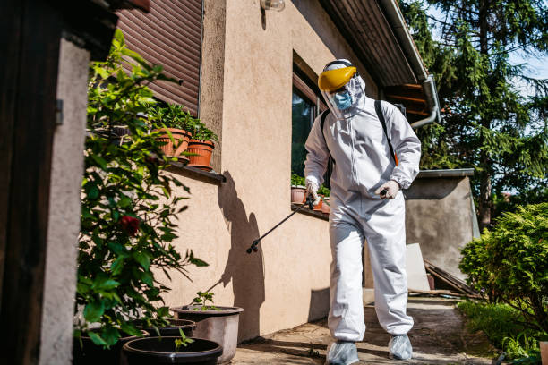 Best Affordable Exterminators  in Abingdon, IL