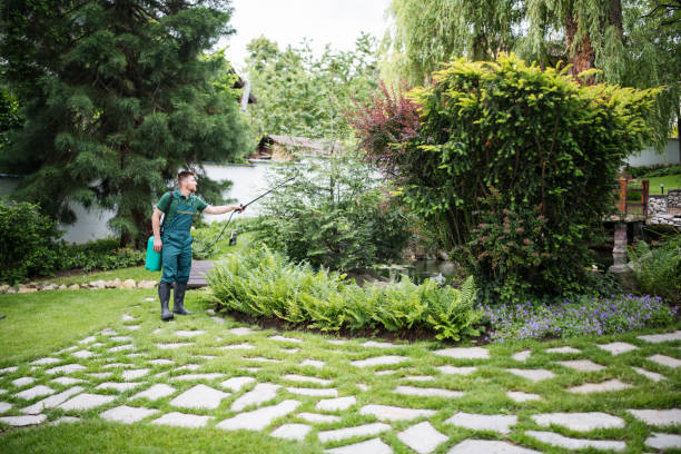 Best Best Pest Control Companies  in Abingdon, IL