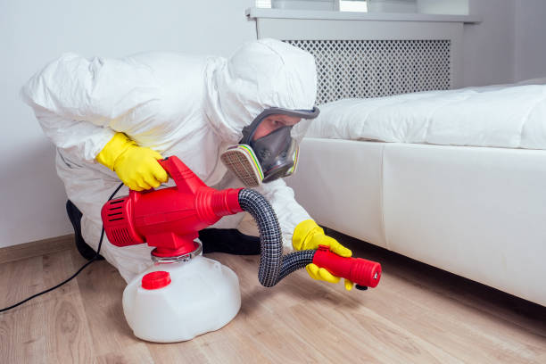 Flea Control Services in Abingdon, IL