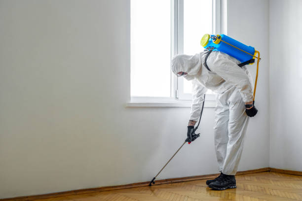 Best Rat Extermination Near Me  in Abingdon, IL