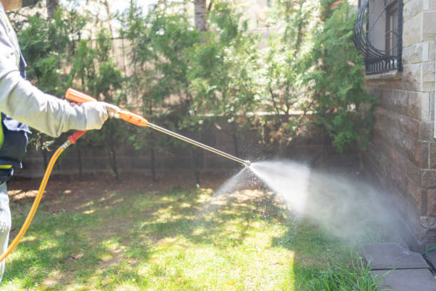 Best Pest Inspection Near Me  in Abingdon, IL
