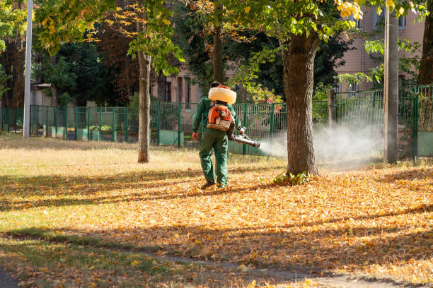 Best Best Pest Control Companies  in Abingdon, IL