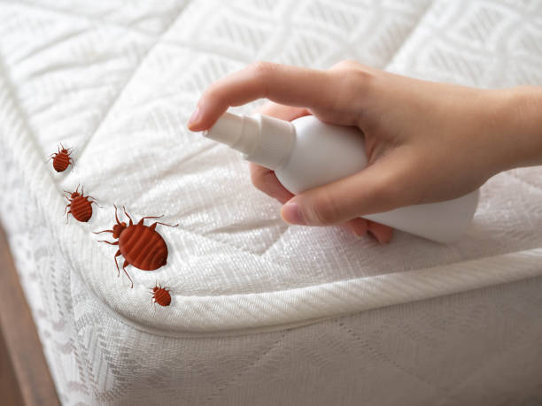 Best Residential Pest Control  in Abingdon, IL