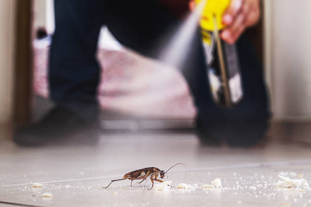 Best Wildlife Control Services  in Abingdon, IL