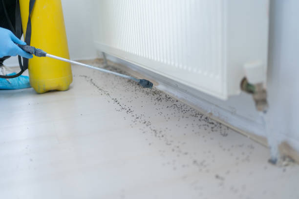 Best Pest Inspection Near Me  in Abingdon, IL
