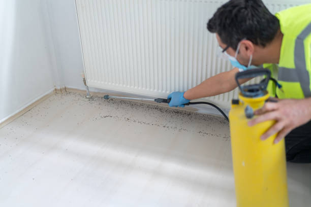 Best Pest Control Near Me in Abingdon, IL
