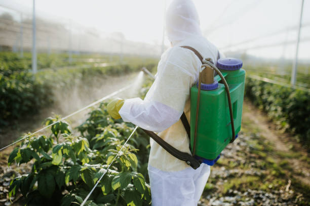 Best Affordable Pest Control Services  in Abingdon, IL